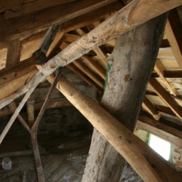 La charpente bois : techniques et savoir-faire du charpentier à Les Pavillons-sous-Bois